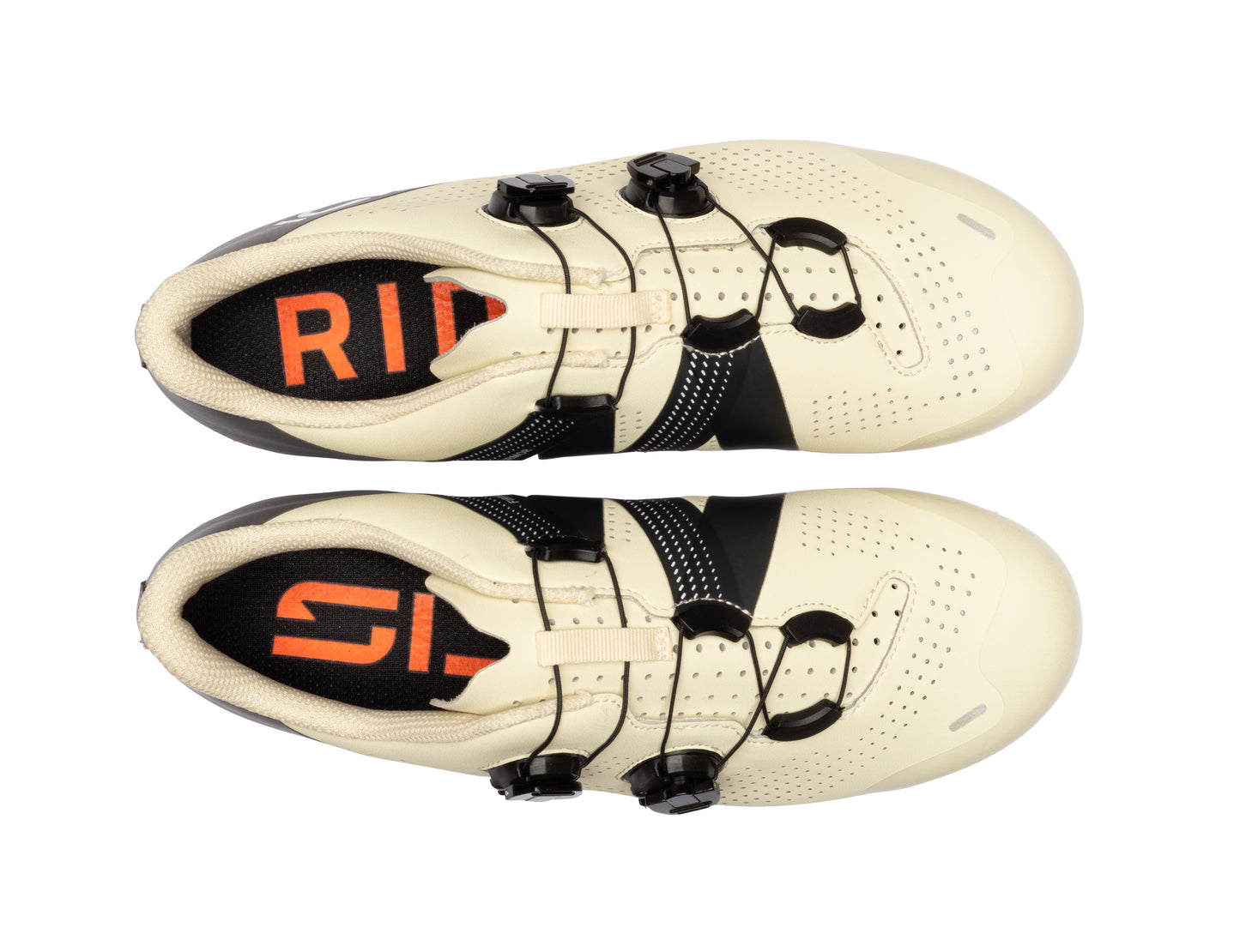 ERGO 6S WOMAN