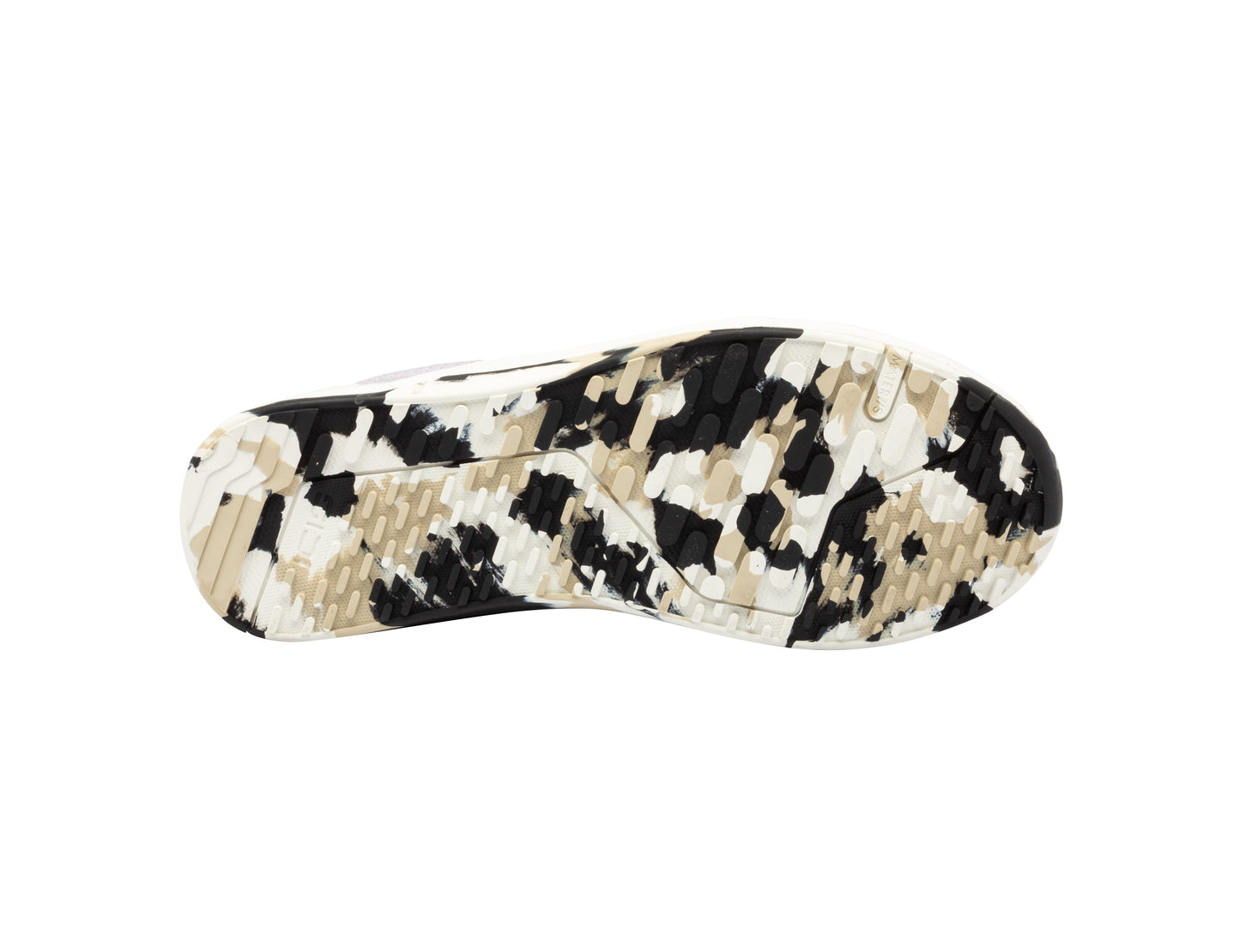 MOTUS